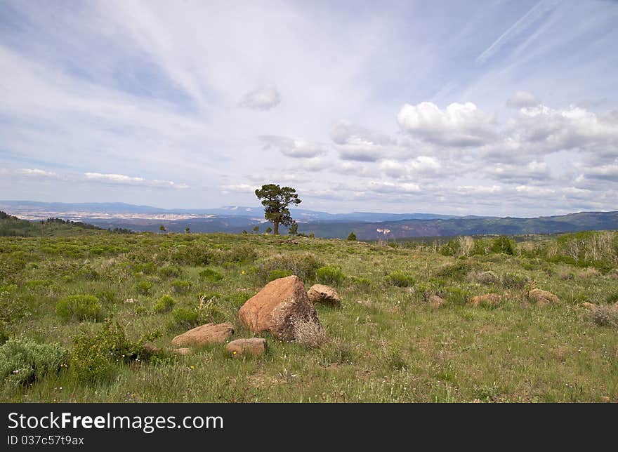 Grand Staircase Escalante