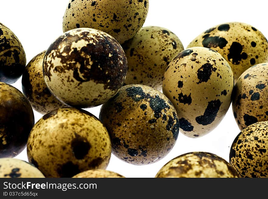 Common Quail eggs on white background