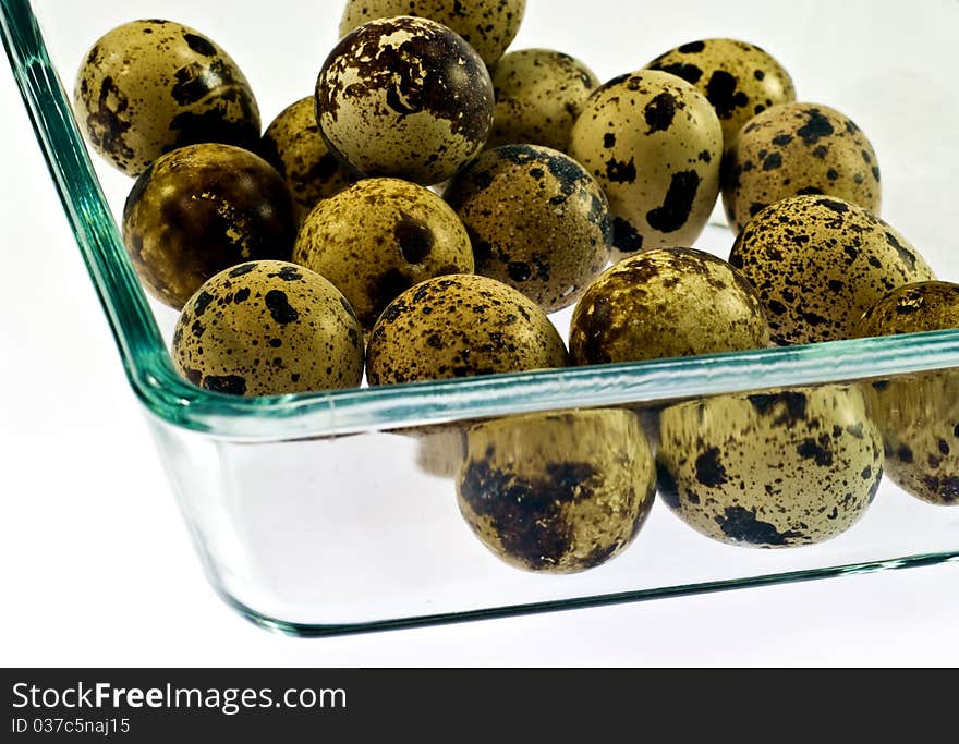 Common Quail eggs on white background