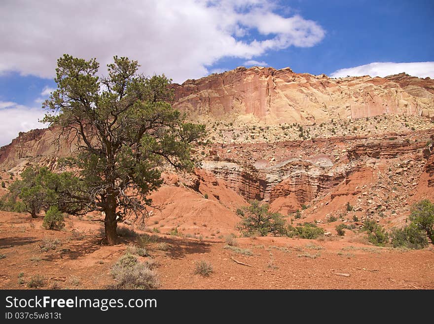 Capitol Reef National Park