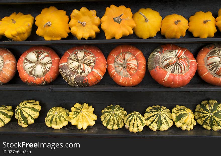 Three rows of pumpkins arranged by colour and shape