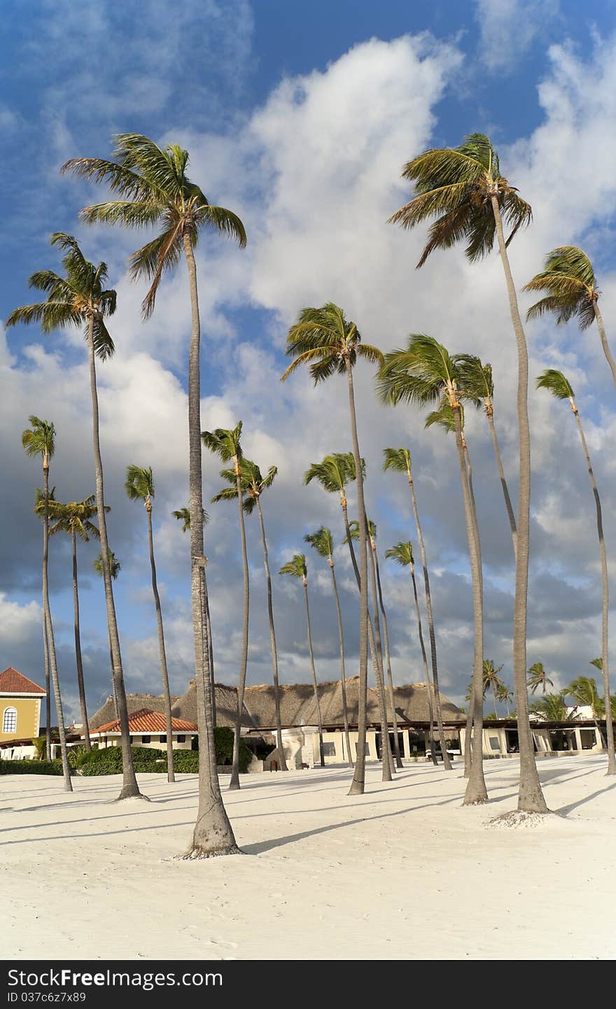 The empty caribbean beach on the morning