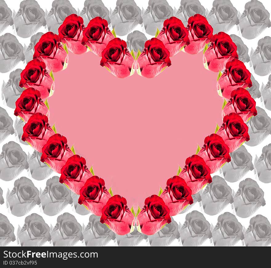 Heart of red roses on a background of black and white roses. Heart of red roses on a background of black and white roses