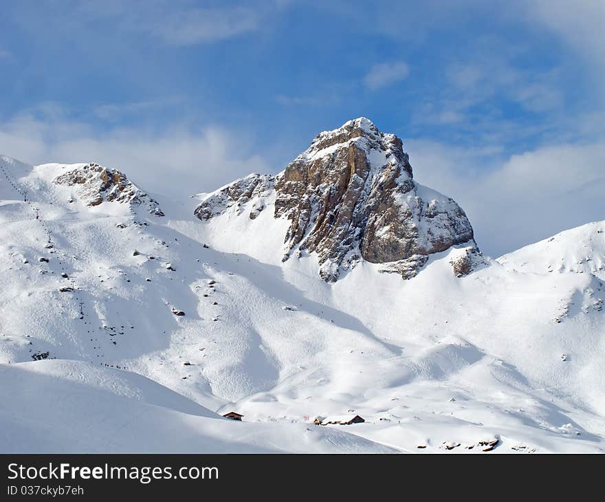 Winter landscape