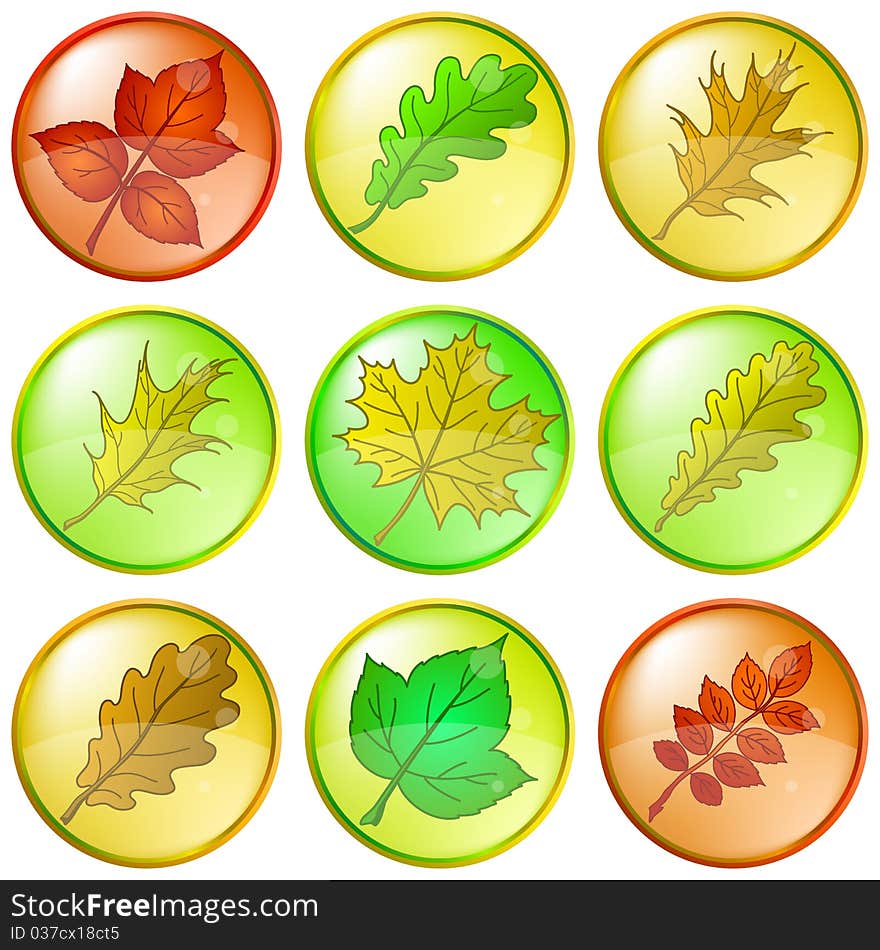 Leaves Of Plants, Buttons