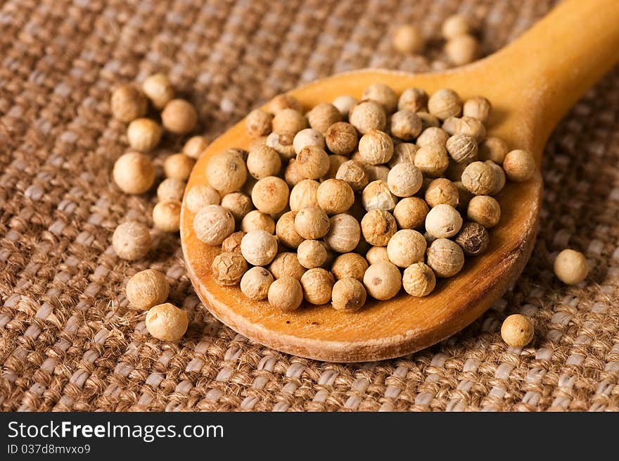 White Peppercorns On A Wooden Spoon