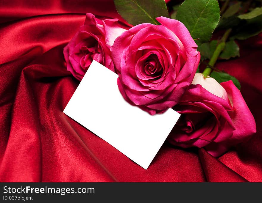 Roses on satin background