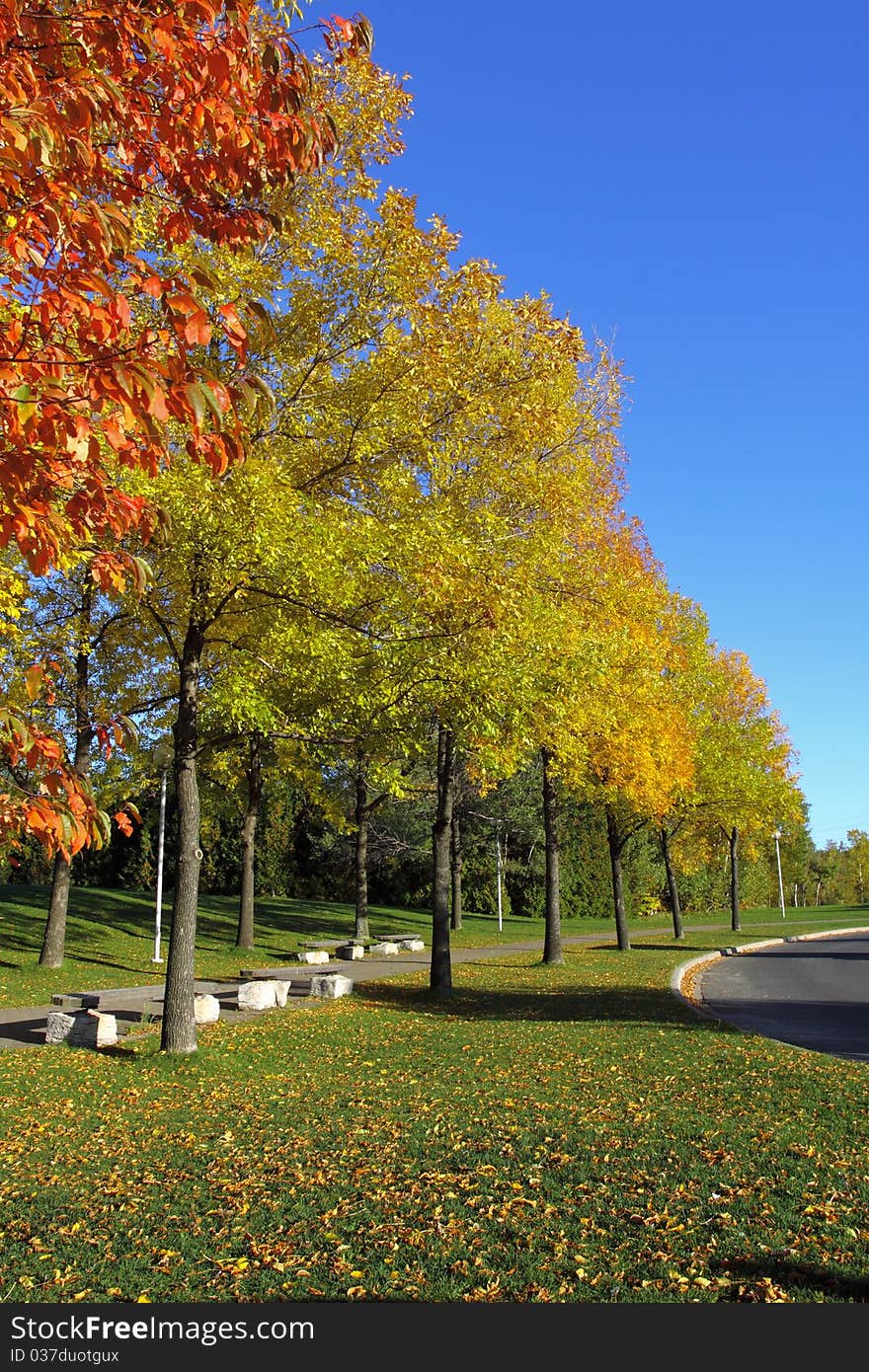 Colors of Autumn in Canada