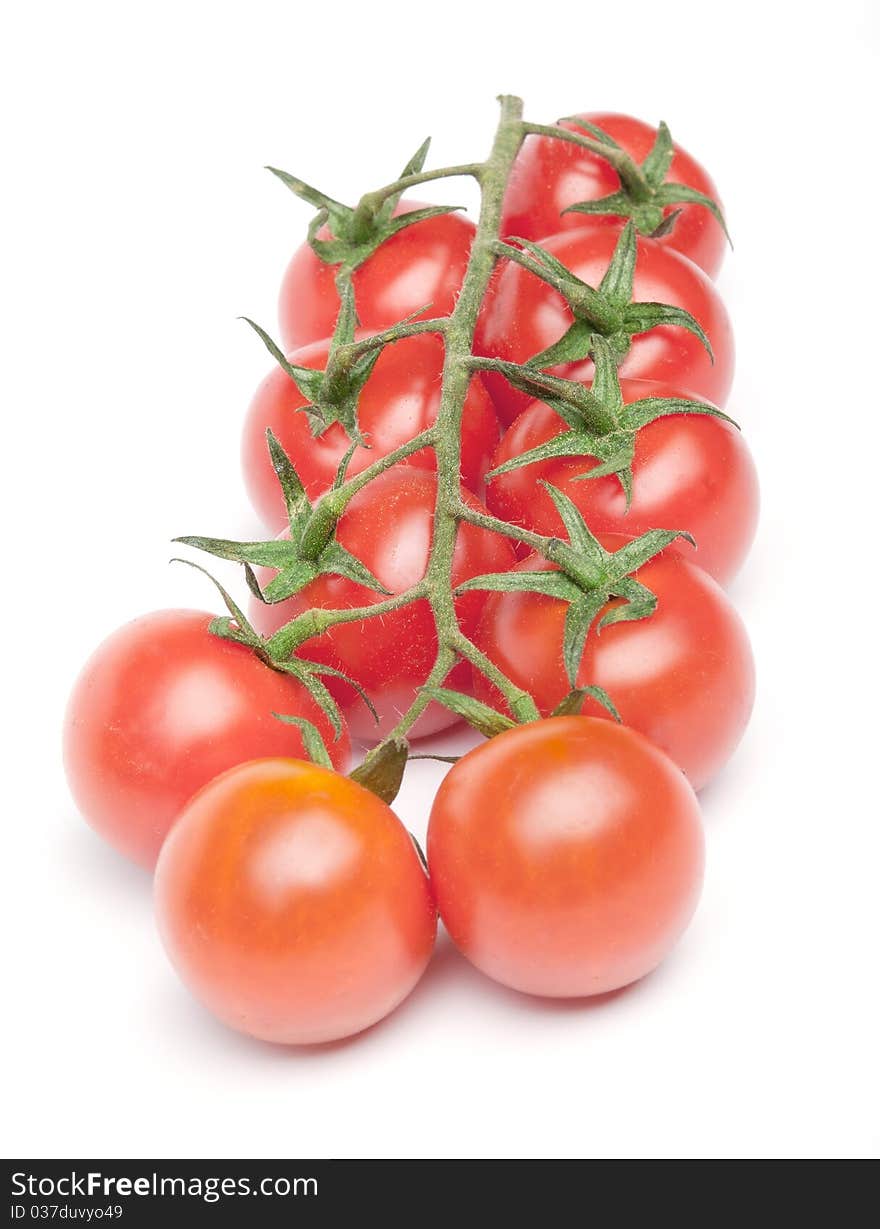 Cherry tomatoes on the branch