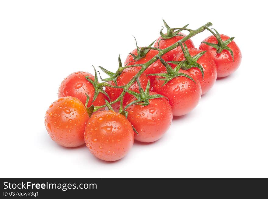 Cherry Tomatoes On The Branch With Water Drops