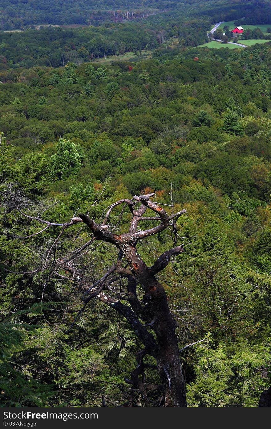 A broad view of the Shawangunk Mountains of New York and the famous Trapps rockclimbing cliffs in the Mohonk Preserve and Minnewaska State Park. A broad view of the Shawangunk Mountains of New York and the famous Trapps rockclimbing cliffs in the Mohonk Preserve and Minnewaska State Park