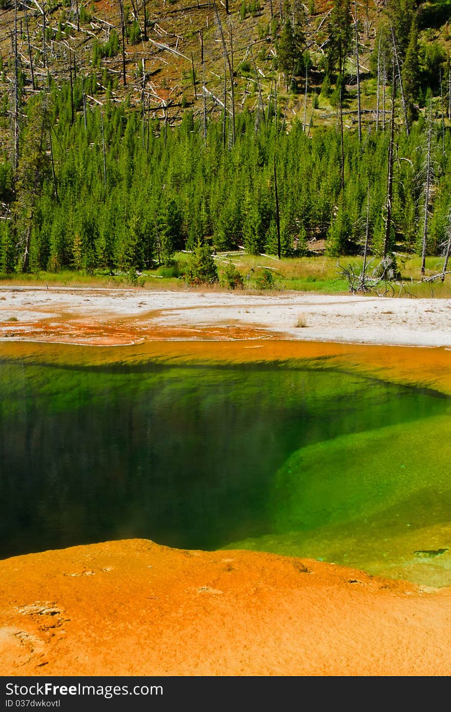 Emerald Pool, Yellowstone