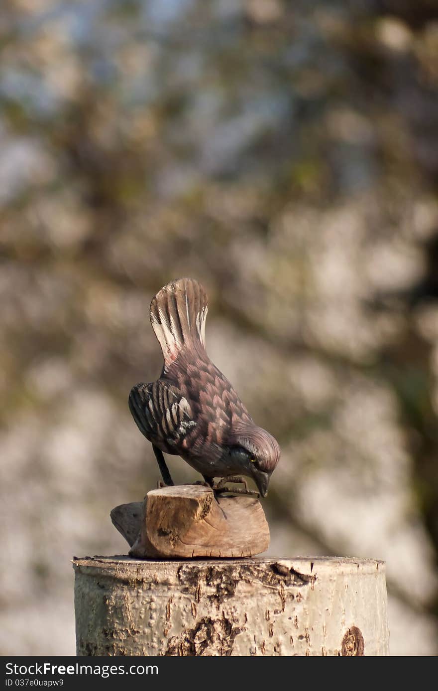 Wooden Bird