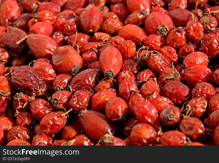 Dried berries of a dog-rose is photographed on the close-up