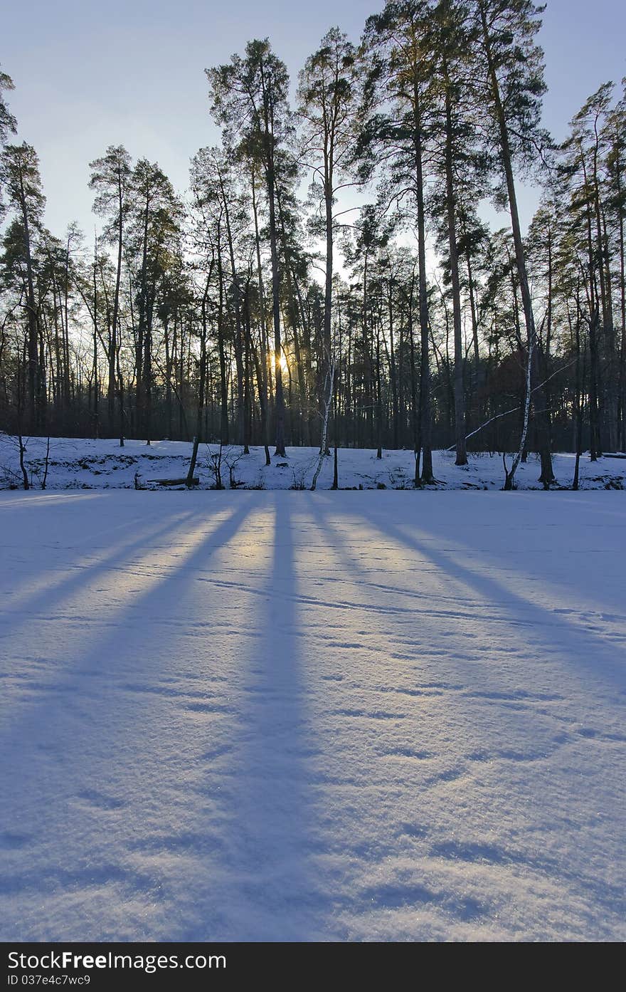 Winter evening