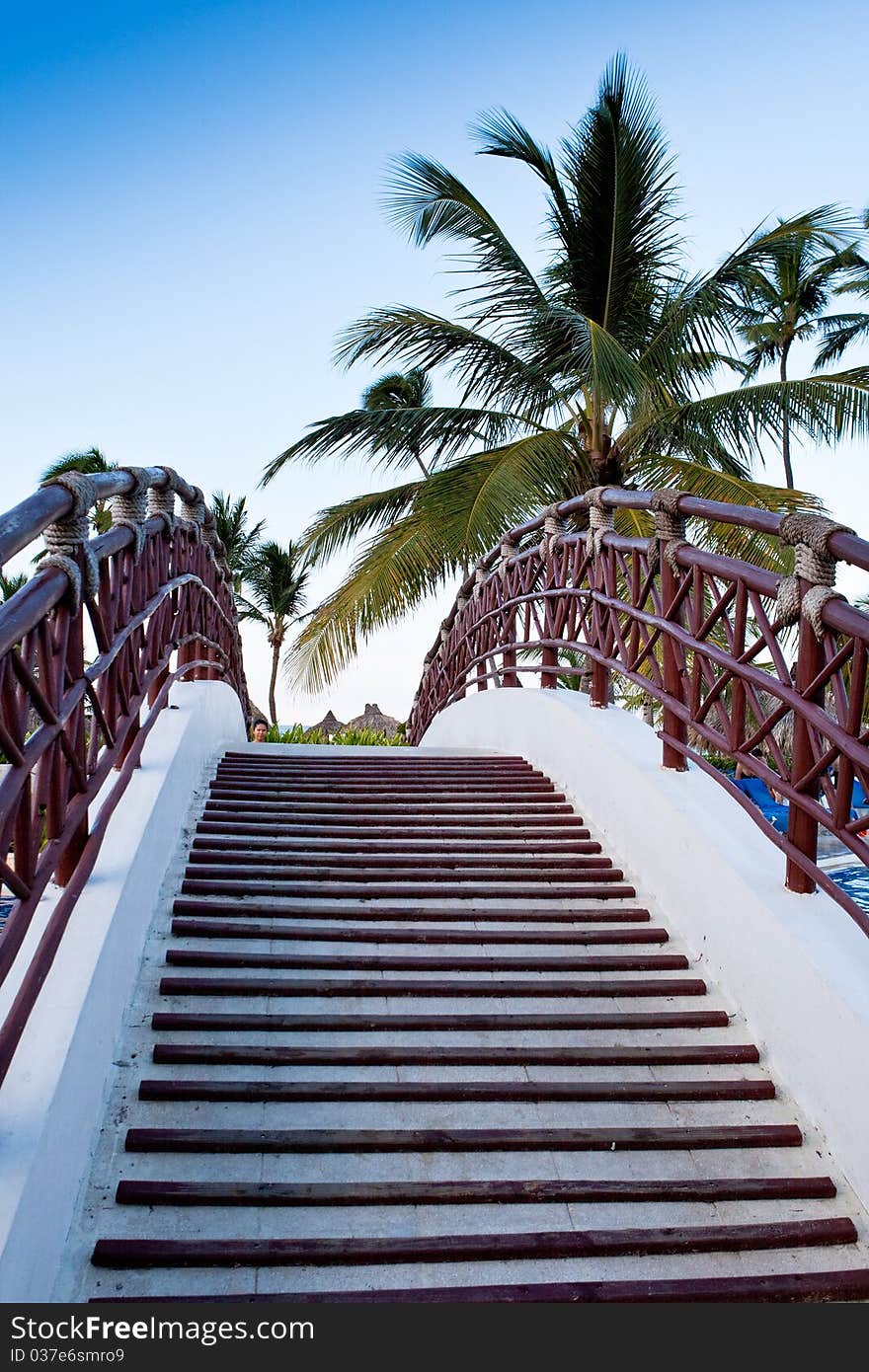 Staircase Of The Bridge Under Palm Blue Sky