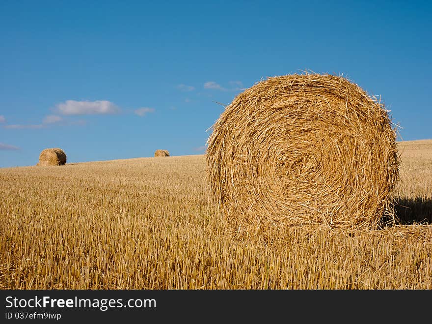 Bales of straw in a freshly harvested wheatfield