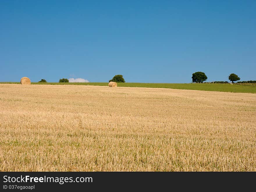 Freshly harvested wheatfield with bales of straw