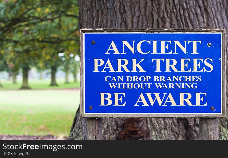 Ancient Park Trees can drop branches without warning. Ancient Park Trees can drop branches without warning.