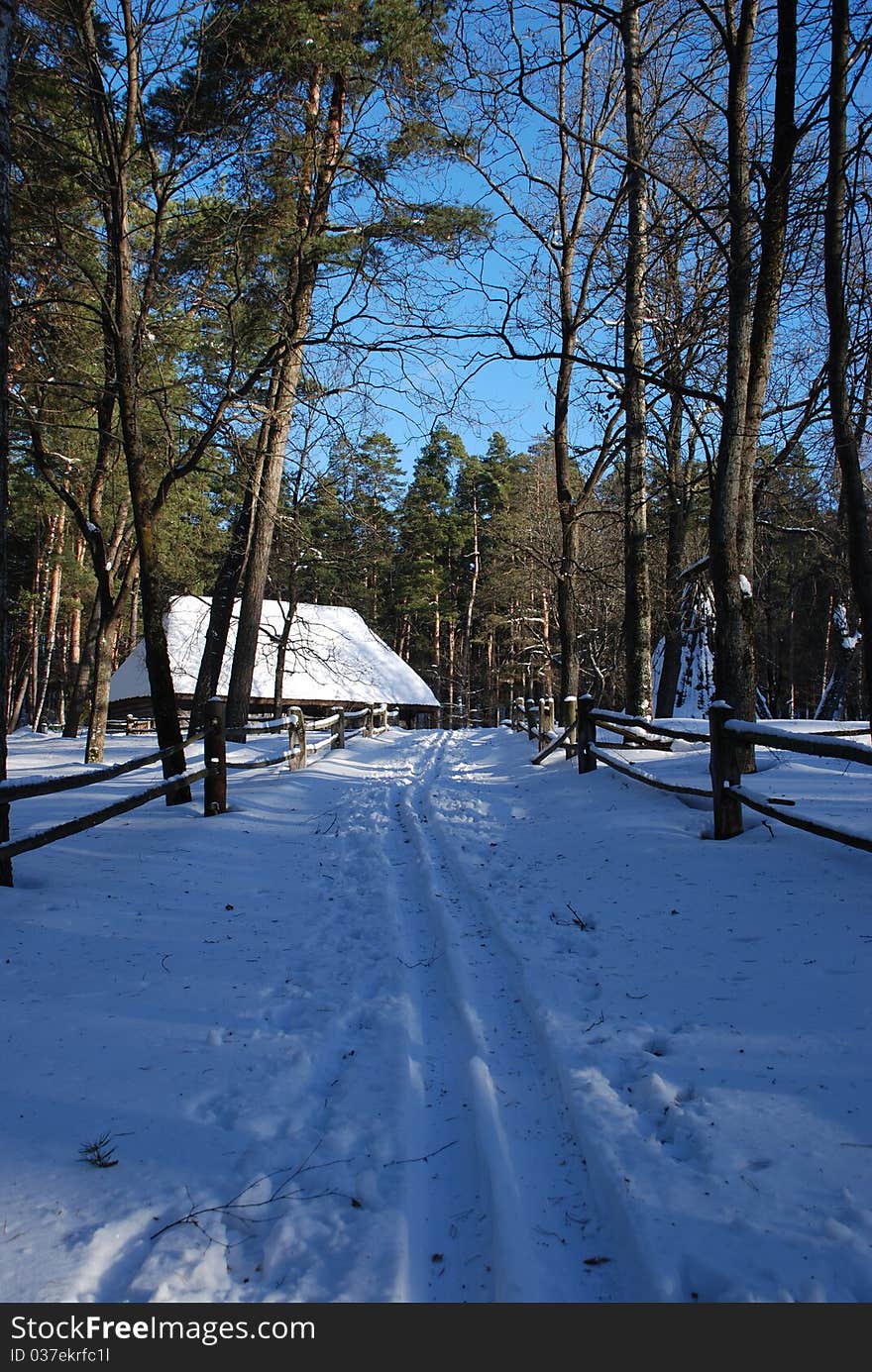 Wooden house in the forest