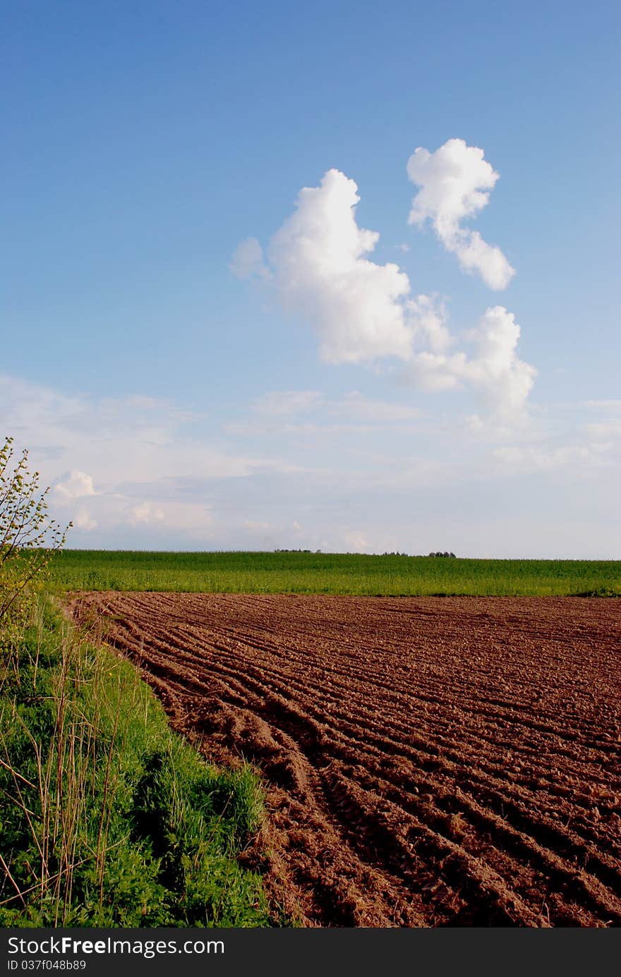 Freshly dug field surrounded by meadow in sunny day.