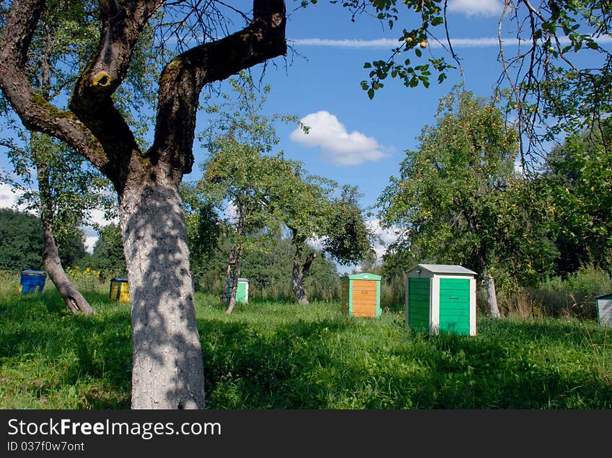 A lot of apple trees with many fruit on it. Hives. A lot of apple trees with many fruit on it. Hives.