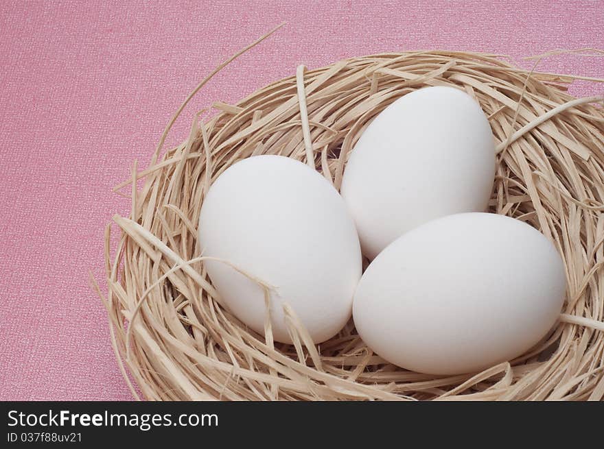 Eggs in a Nest on a Pastel Colored Background Easter Concept.