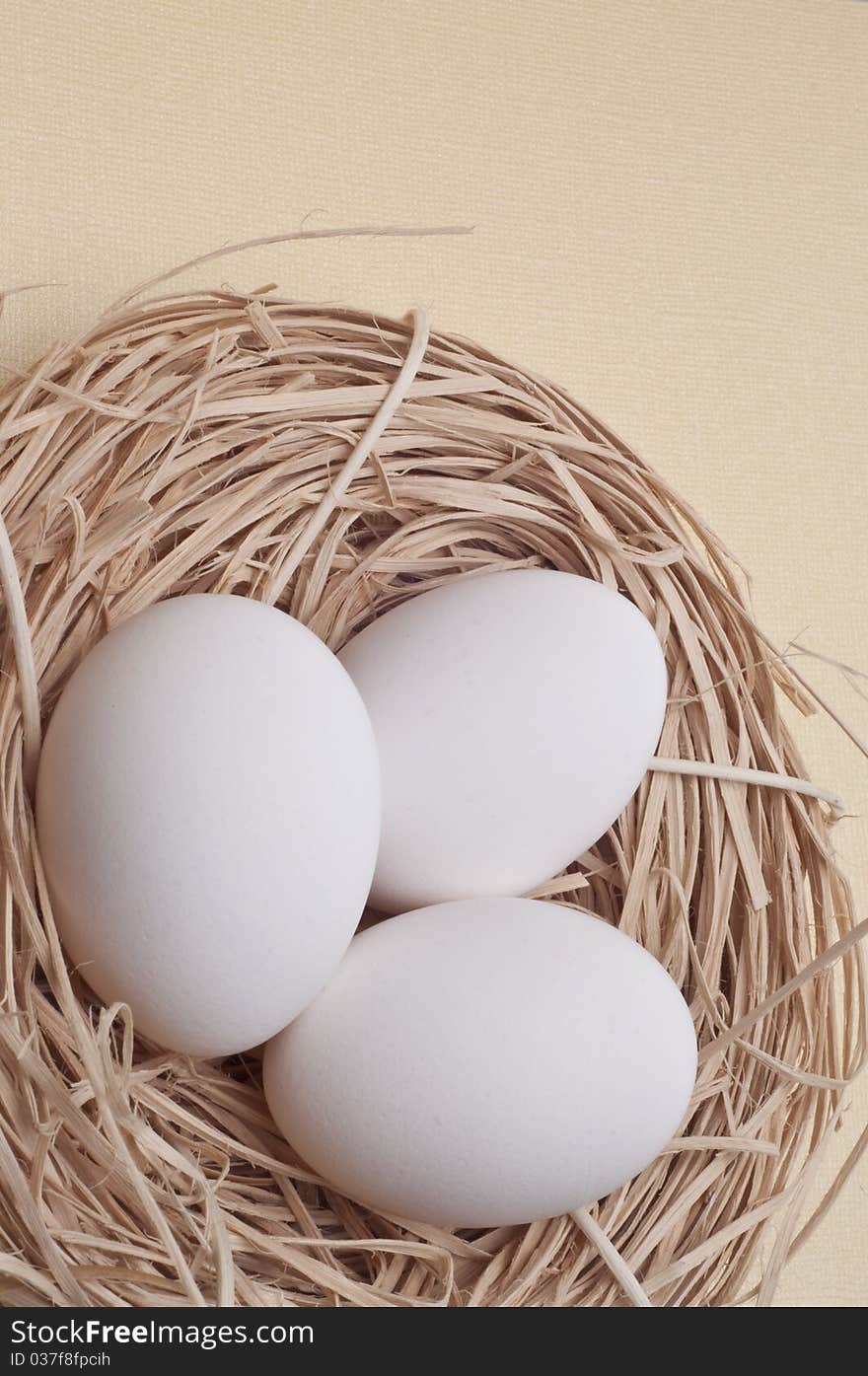 Eggs in a Nest on a Pastel Colored Background Easter Concept.