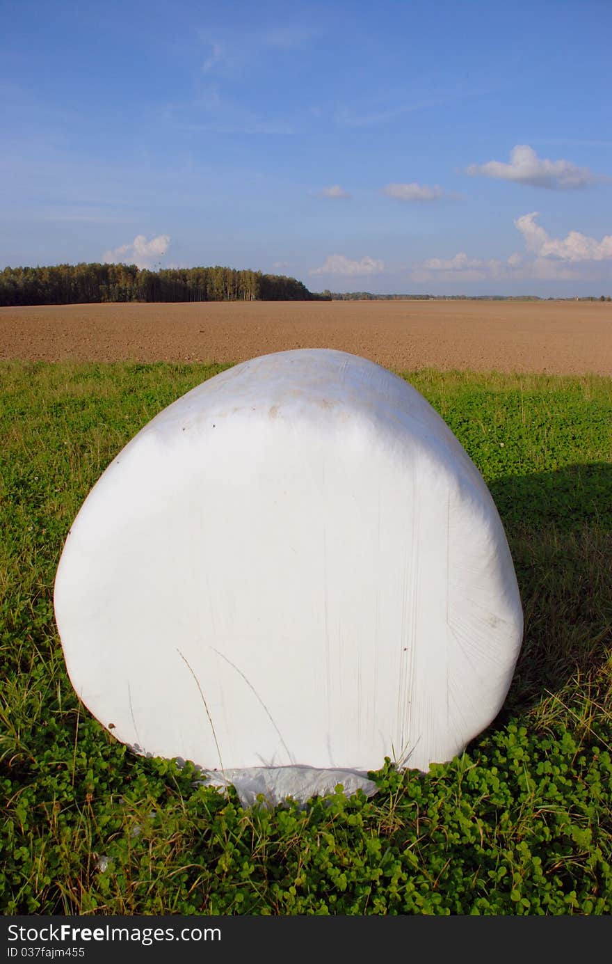 White rolls of hay is a mark of midsummer