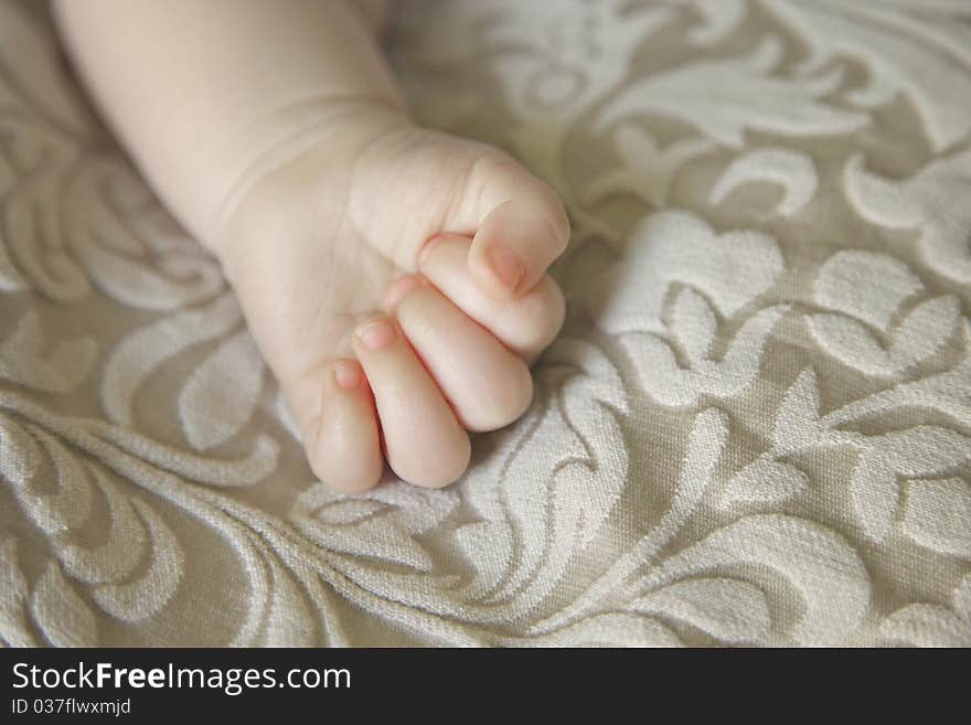 Baby's hand close up in detail. Baby's hand close up in detail