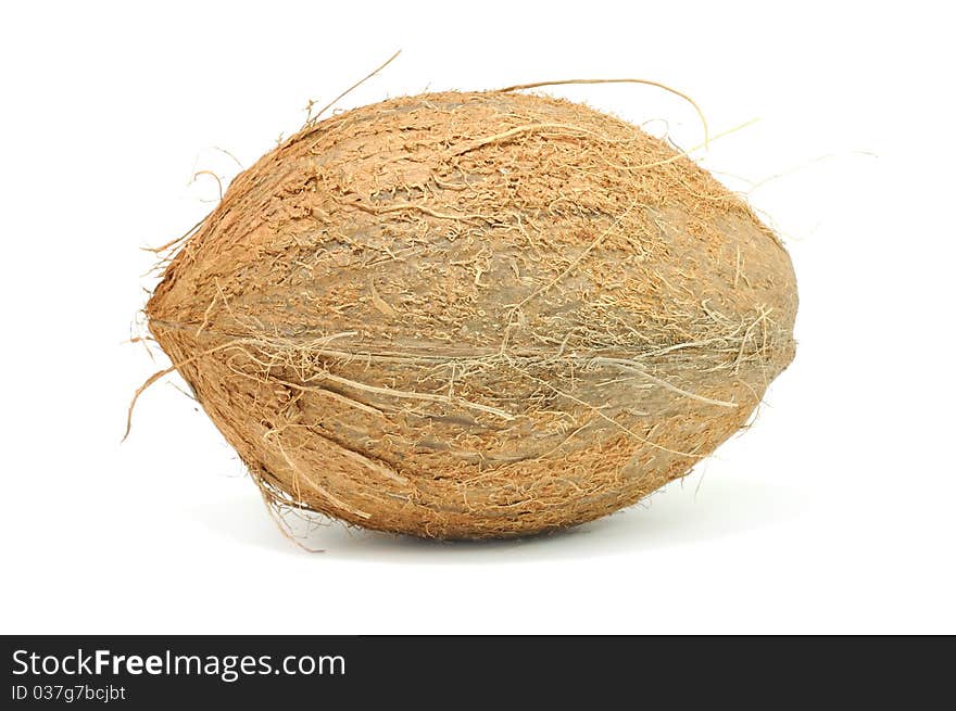 A coconut isolated on a white background