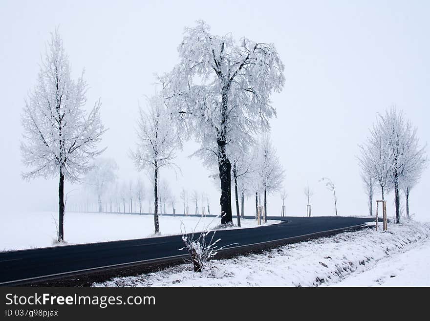 Snowy road, frozen trees and fog