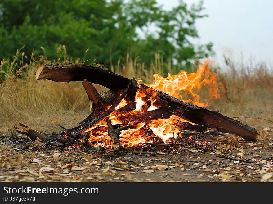 Bonfire in picnic