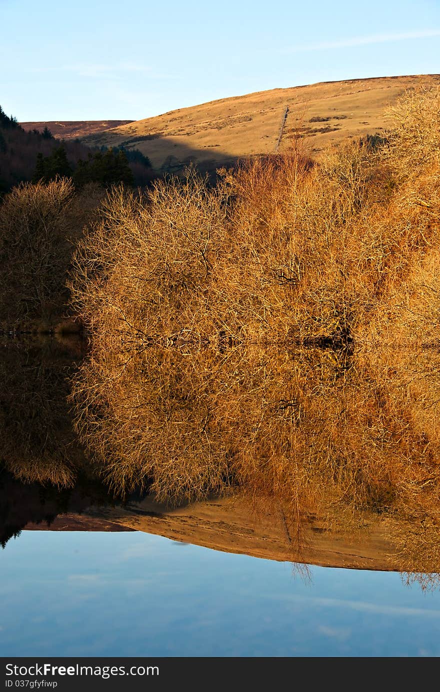 Lake Reflection. Vertical Composition of Trees Bushers and Moutain reflecting in calm lake during sunset. Lake Reflection. Vertical Composition of Trees Bushers and Moutain reflecting in calm lake during sunset