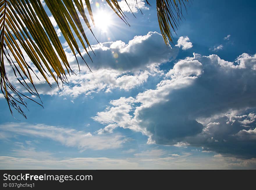 Backgroun sky clear summer day. Backgroun sky clear summer day