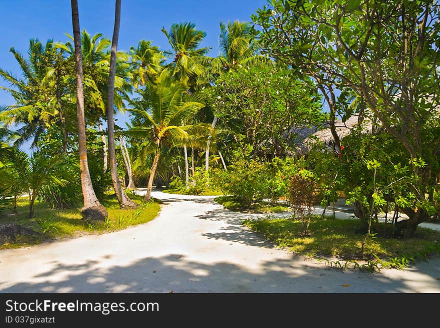 Bungalows on beach and sand pathway