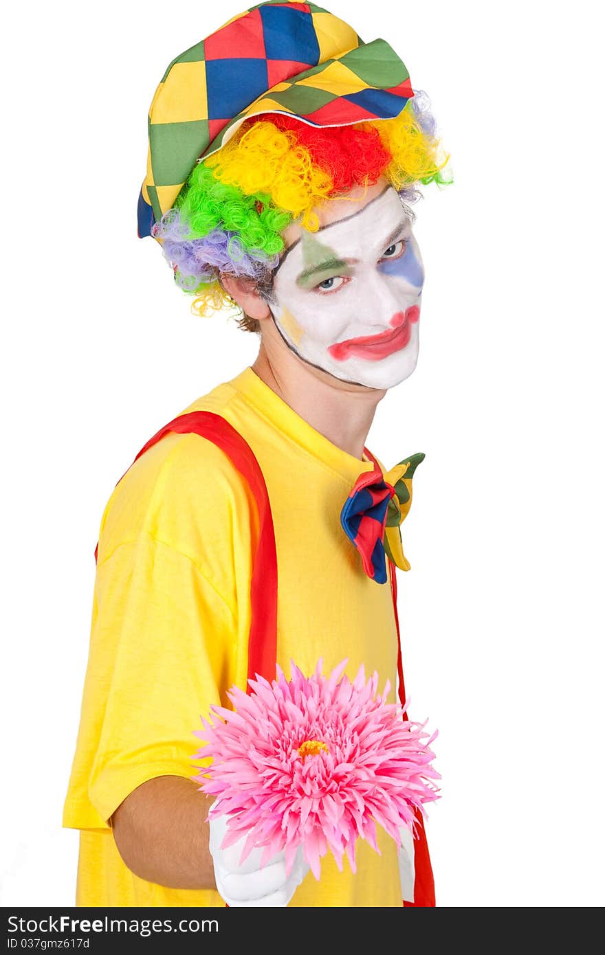 Young man in a clown's costume holding a pink flower - isolated. Young man in a clown's costume holding a pink flower - isolated