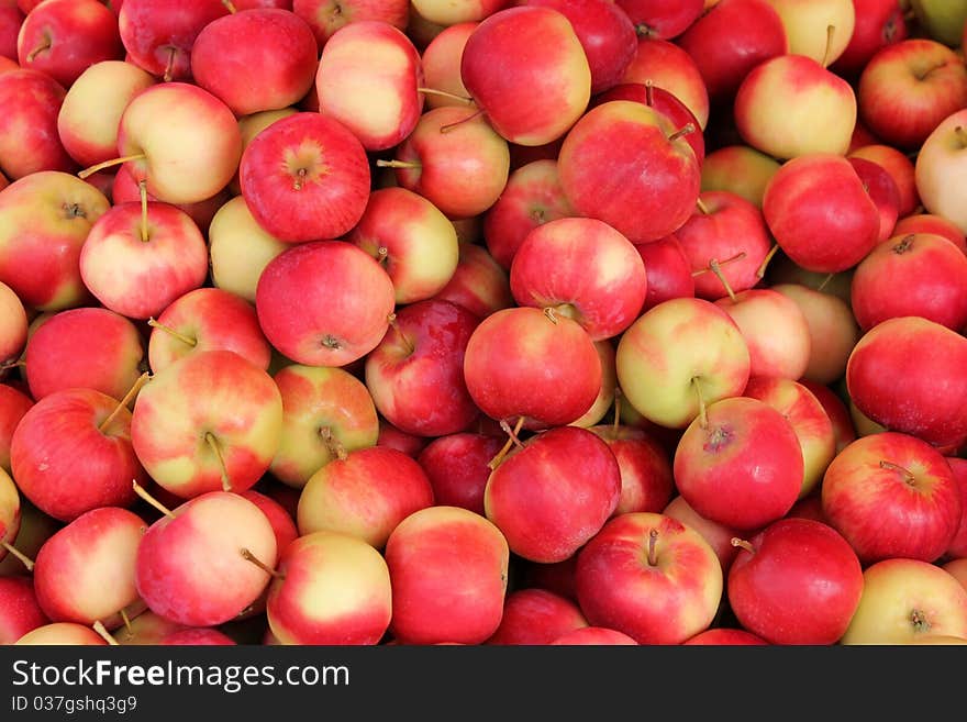 Juicy Red Apples in Fruit Market. Juicy Red Apples in Fruit Market