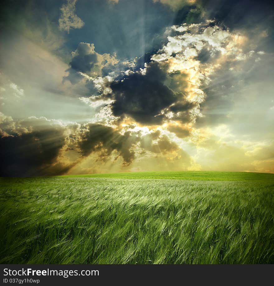 Green meadow under blue sky with clouds. Green meadow under blue sky with clouds