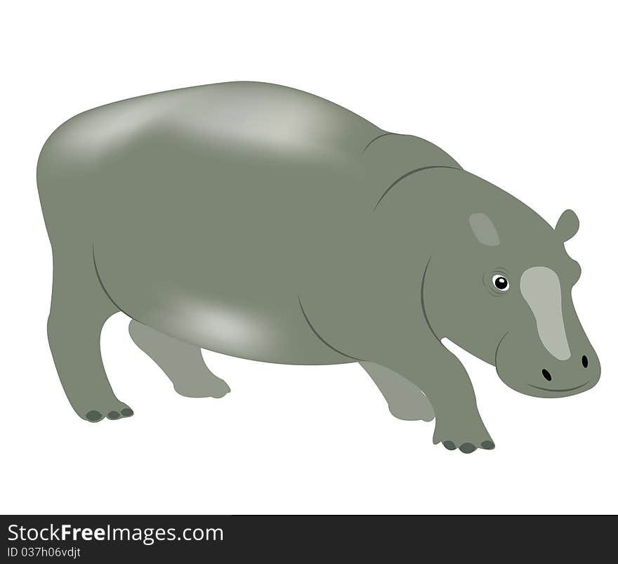 Illustration of the wildlife hippopotamus on white background. Illustration of the wildlife hippopotamus on white background