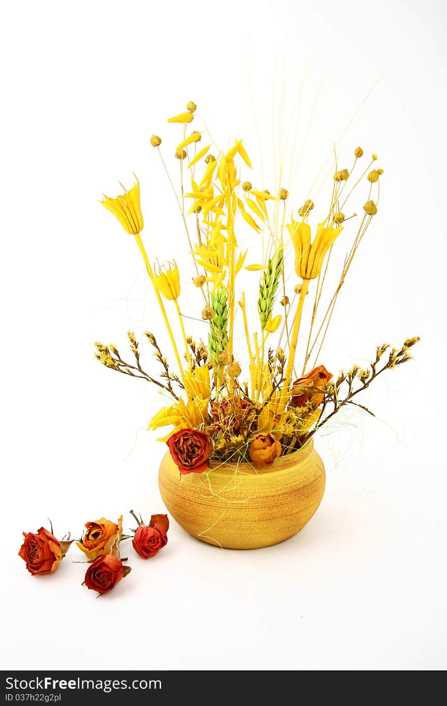 Arrangement made of dry cereals, dry flowers and a ceramic pot. Arrangement made of dry cereals, dry flowers and a ceramic pot