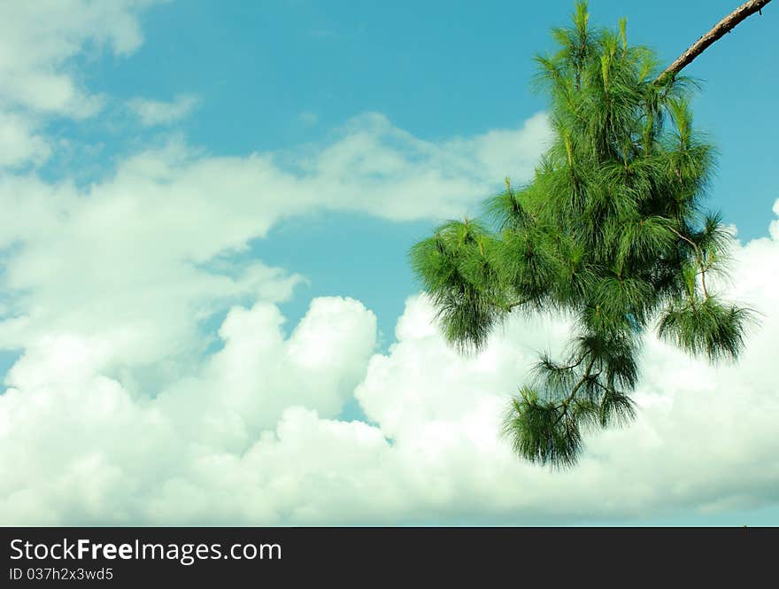 Blue Sky-cloud