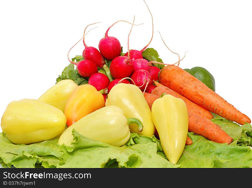 Vegetables on a white background