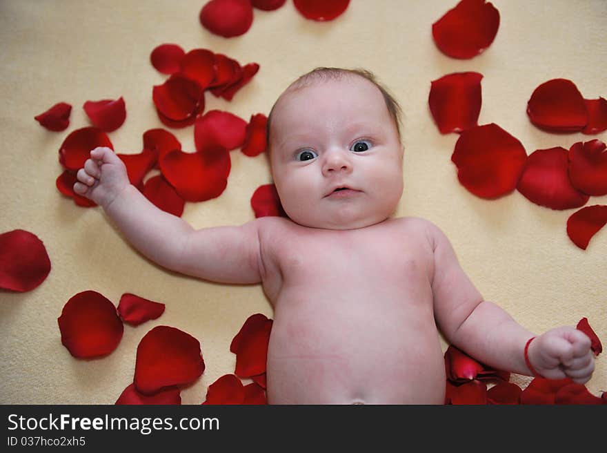 Portrait with little baby girl with roses around