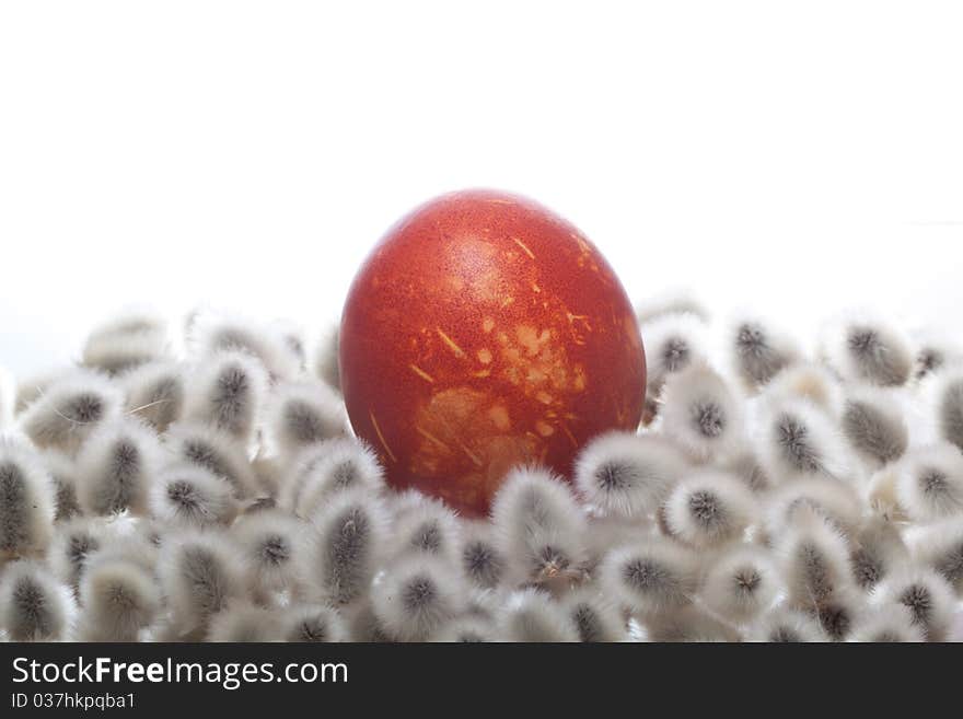 Easter egg on White isolated background