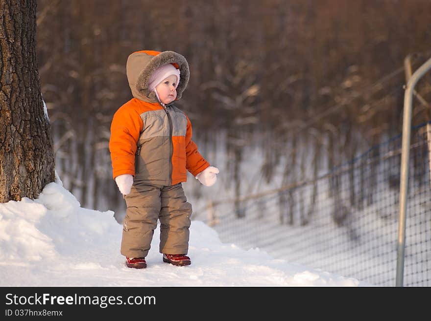 Cute adorable baby stay near ski protection fence with forest on background and look to skiers on mountain track