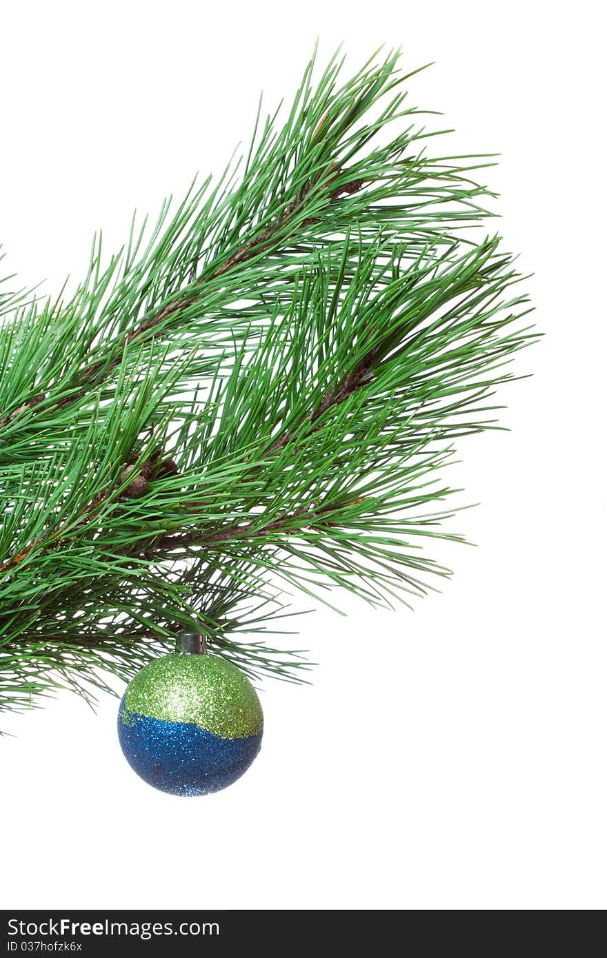 Fir-twig with christmas ball