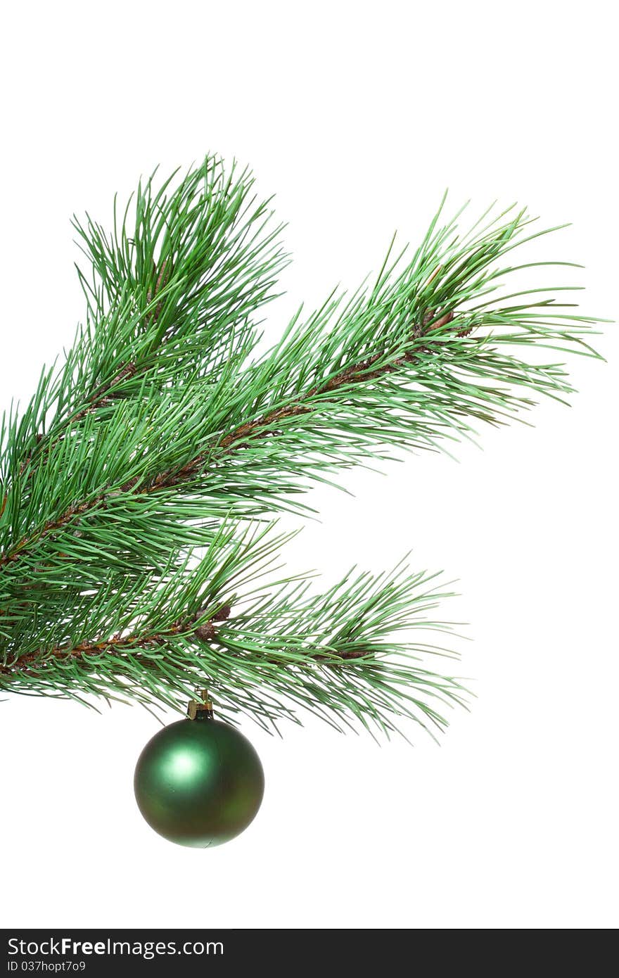 Fir-twig With Christmas Ball