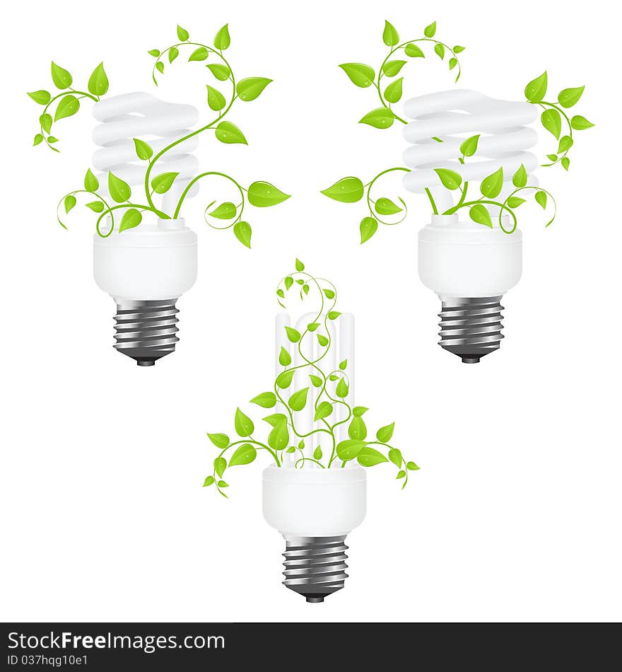 Set floral power saving lamps. Isolated on white background. Vector illustration. Set floral power saving lamps. Isolated on white background. Vector illustration.