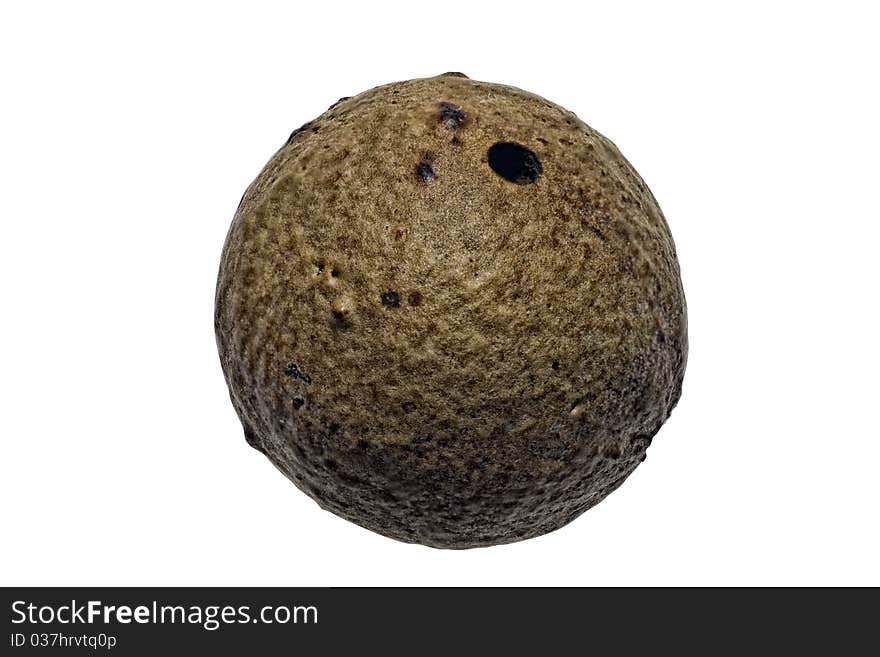 Marble Gall